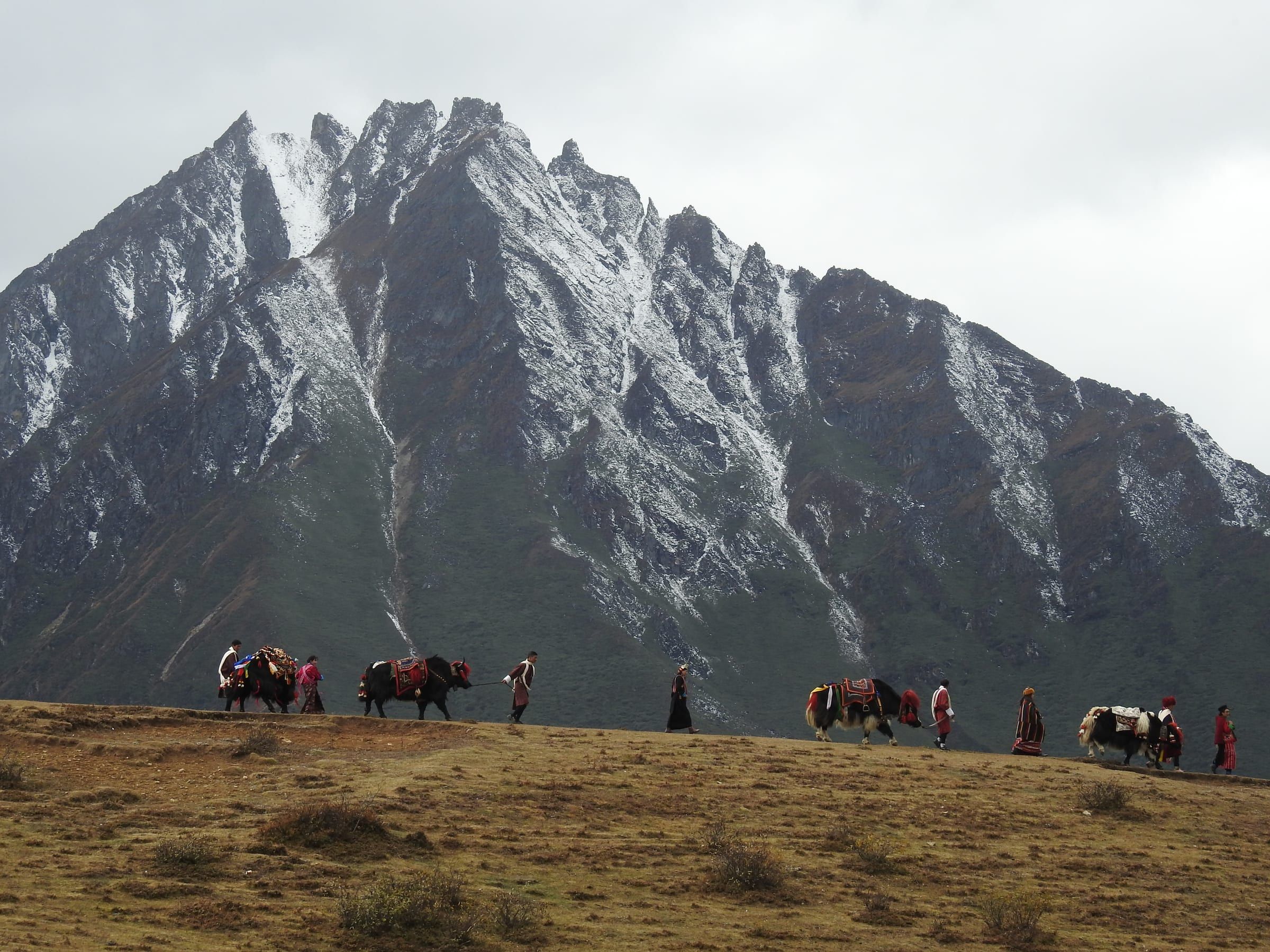 Highlanders lead decorated yaks along a ridge below a snow-dusted mountain.